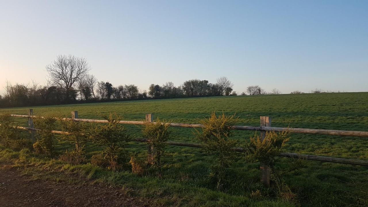 Le domaine des Roseraies Monfréville Extérieur photo